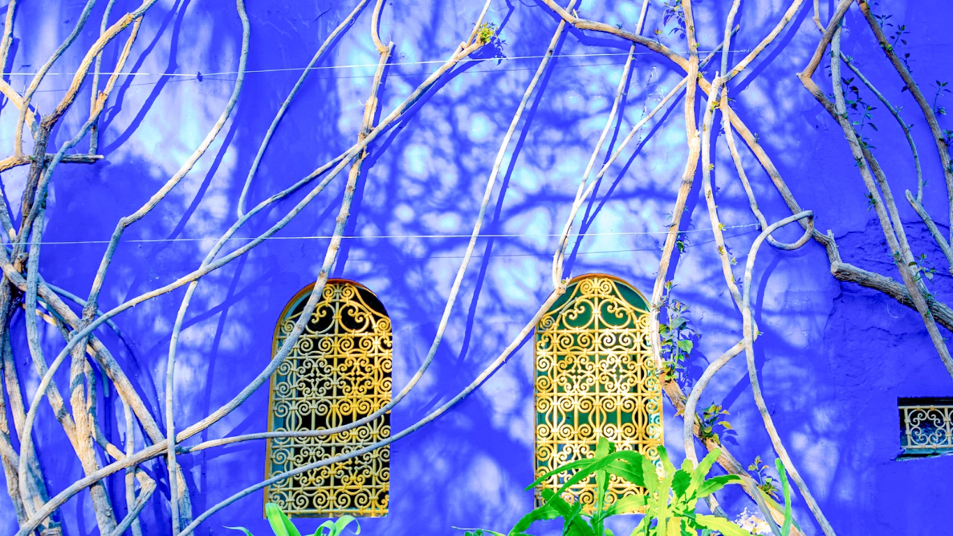 Vibrant blue wall and golden windows of Jardin Majorelle in Marrakech, Morocco — a must-see attraction where tickets must be booked in advance.