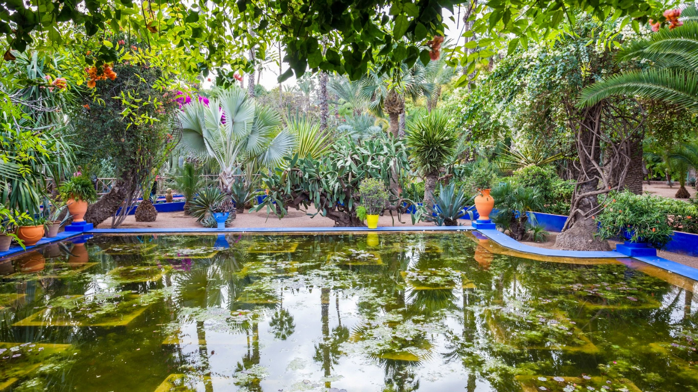 Lush tropical plants and reflective pond in the vibrant Jardin Majorelle garden in Marrakech, surrounded by iconic blue accents and colorful pottery.
